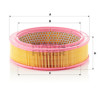Filtre à air MANN-FILTER C 2443/1