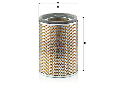 Filtre à air MANN-FILTER C 24 444/1