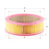 Filtre à air MANN-FILTER C 2545/1