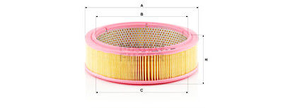 Filtre à air MANN-FILTER C 2545/1