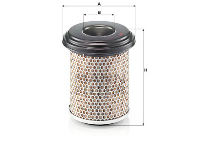Filtre à air MANN-FILTER C 17 217/1