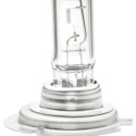 Ampoule, projecteur principal