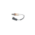 Sonde lambda