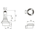 Lampe BOSCH 1 987 302 481