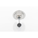 Ampoule