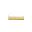Filtre à air BOSCH F 026 400 550