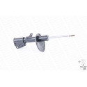 Amortisseur MONROE 401125RM