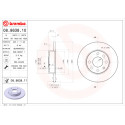 Jeu de disques de frein BREMBO 08.8638.10