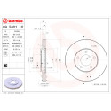 Jeu de disques de frein BREMBO 09.5801.10