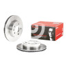 Jeu de disques de frein