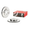 Jeu de disques de frein BREMBO 09.7395.10