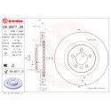 Jeu de disques de frein BREMBO 09.8877.30