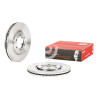 Jeu de disques de frein BREMBO 09.A302.10