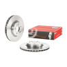 Jeu de disques de frein BREMBO 09.A621.10