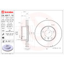 Jeu de disques de frein BREMBO 09.A917.10