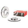 Jeu de disques de frein BREMBO 09.B030.10