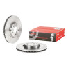 Jeu de disques de frein BREMBO 09.B822.10