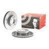 Jeu de disques de frein BREMBO 09.D017.11
