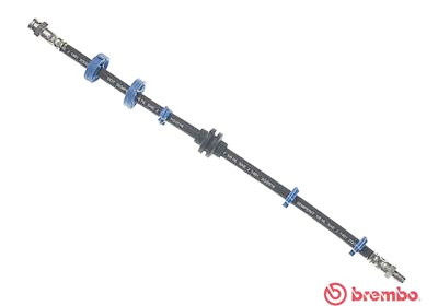 Tubo flexible de frenos