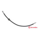 Tubo flexible de frenos