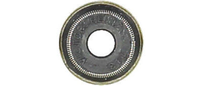 Anillo de junta, vástago de válvula