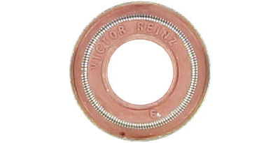 Anillo de junta, vástago de válvula