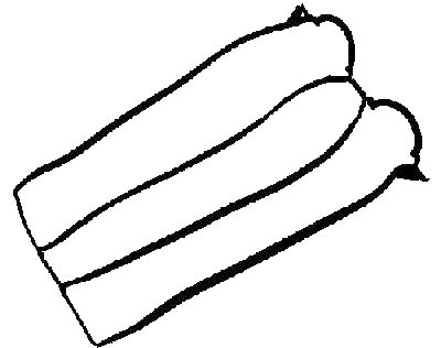 Joint de couvre-culasse GLASER X53260-01