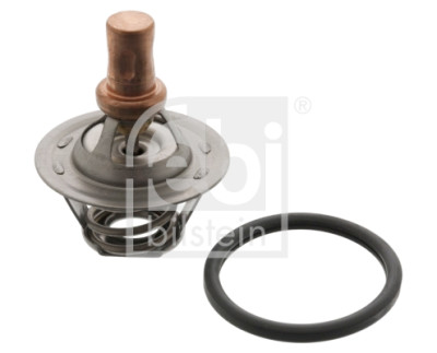 Thermostat d'eau