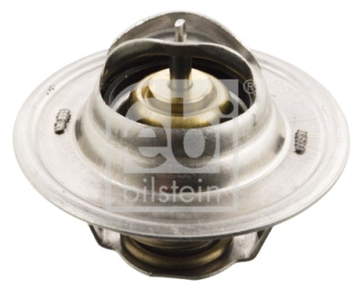 Thermostat d'eau