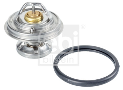 Thermostat d'eau