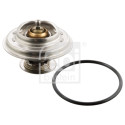 Thermostat d'eau