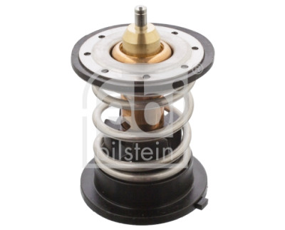 Thermostat d'eau