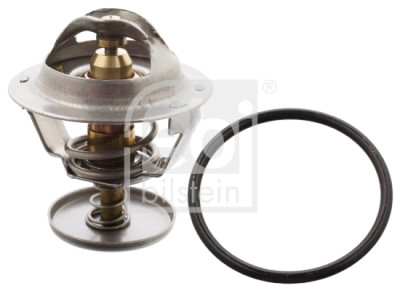 Thermostat d'eau