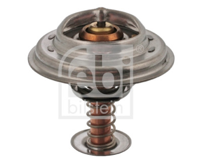 Thermostat d'eau