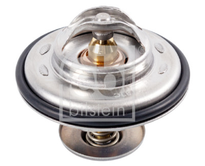 Thermostat d'eau