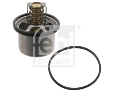 Thermostat d'eau