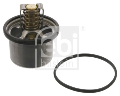 Thermostat d'eau