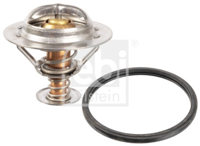 Thermostat d'eau