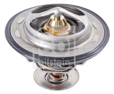 Thermostat d'eau