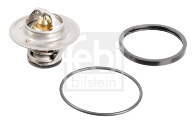Thermostat d'eau