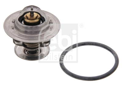 Thermostat d'eau