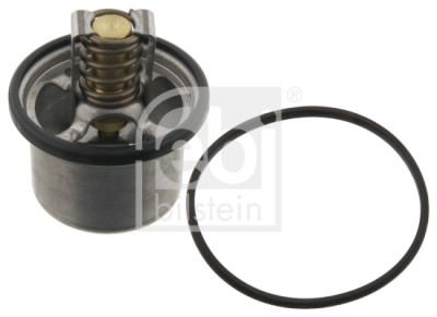 Thermostat d'eau