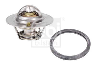 Thermostat d'eau