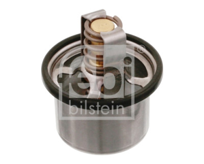 Thermostat d'eau
