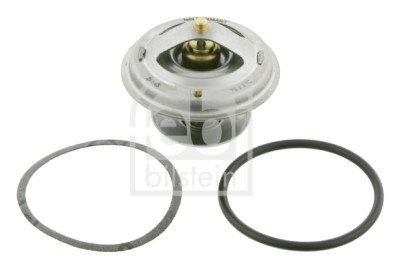 Thermostat d'eau