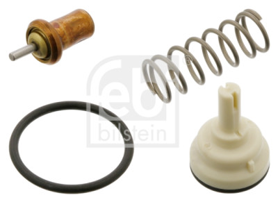 Thermostat d'eau
