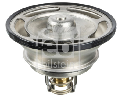Thermostat d'eau