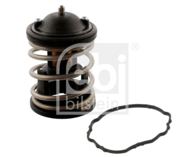 Thermostat d'eau