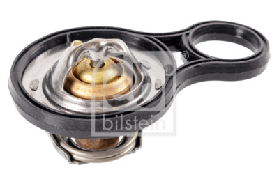 Thermostat d'eau