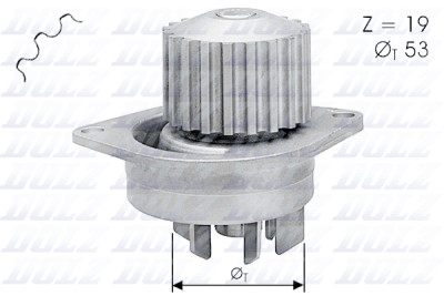 Pompe à eau DOLZ C113
